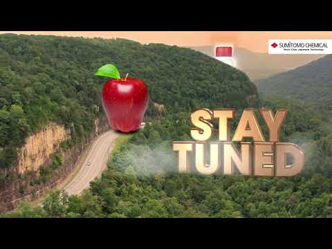 Promalin Teaser | Motion GFX